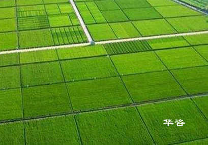 臨時用地復墾方案編制_長沙國土技術咨詢單位_專業服務公司 臨時用地復墾方案編制_長沙國土技術咨詢單位_專業服務公司