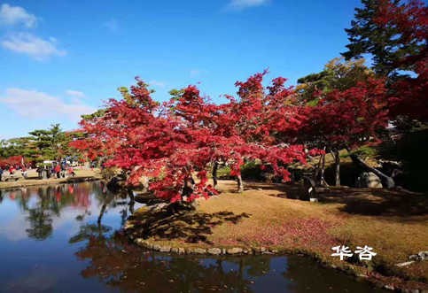 華咨公司交通工程師團(tuán)隊(duì)赴江西南昌就藥材小鎮(zhèn)建設(shè)項(xiàng)目開展交通量現(xiàn)狀調(diào)研